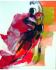 2006 - flamenco flamenco